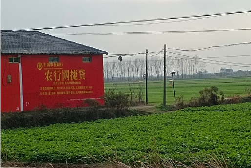 天全如何防止墙体广告褪色呢？