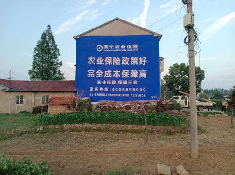 天全墙体广告为何受追捧？